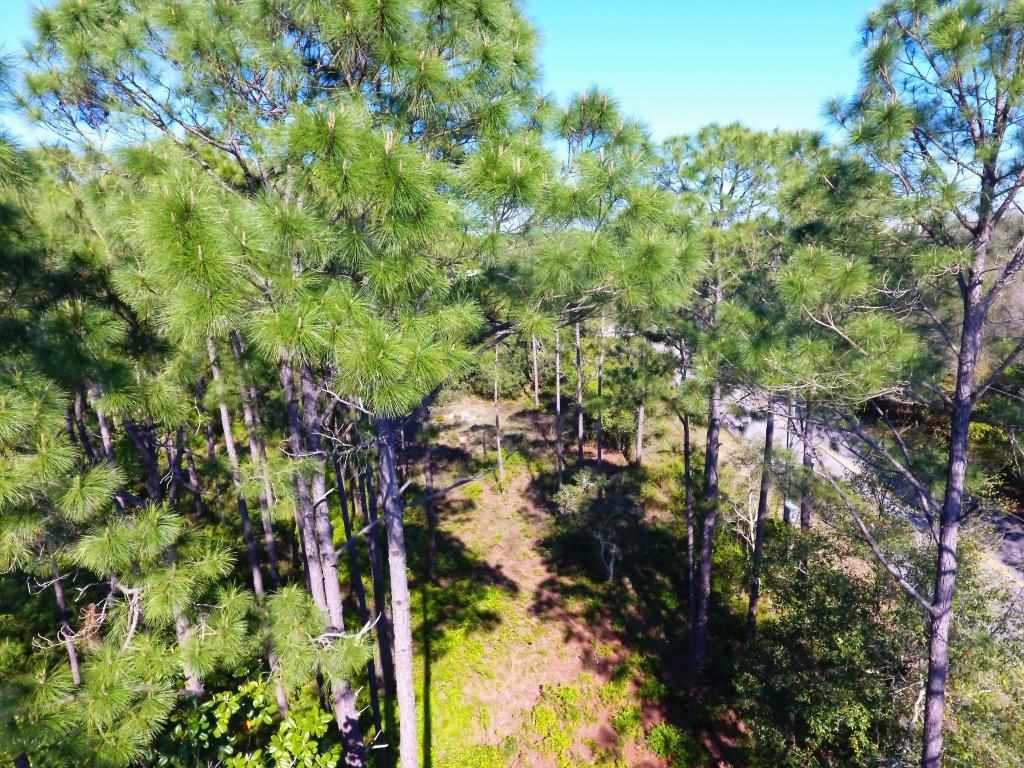 14600 Innerarity Point Road, Unit LOT #44 Pensacola, FL 32507 - Photo 7 of 15 Gallery Image 7