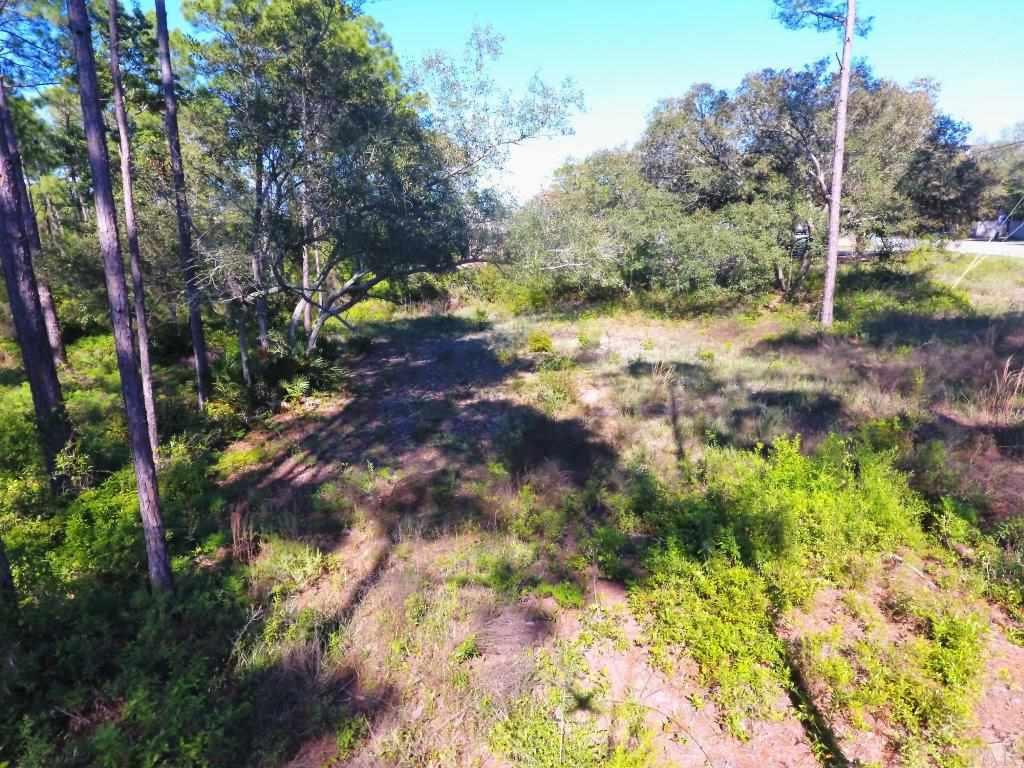 14600 Innerarity Point Road, Unit LOT #44 Pensacola, FL 32507 - Photo 8 of 15 Gallery Image 8