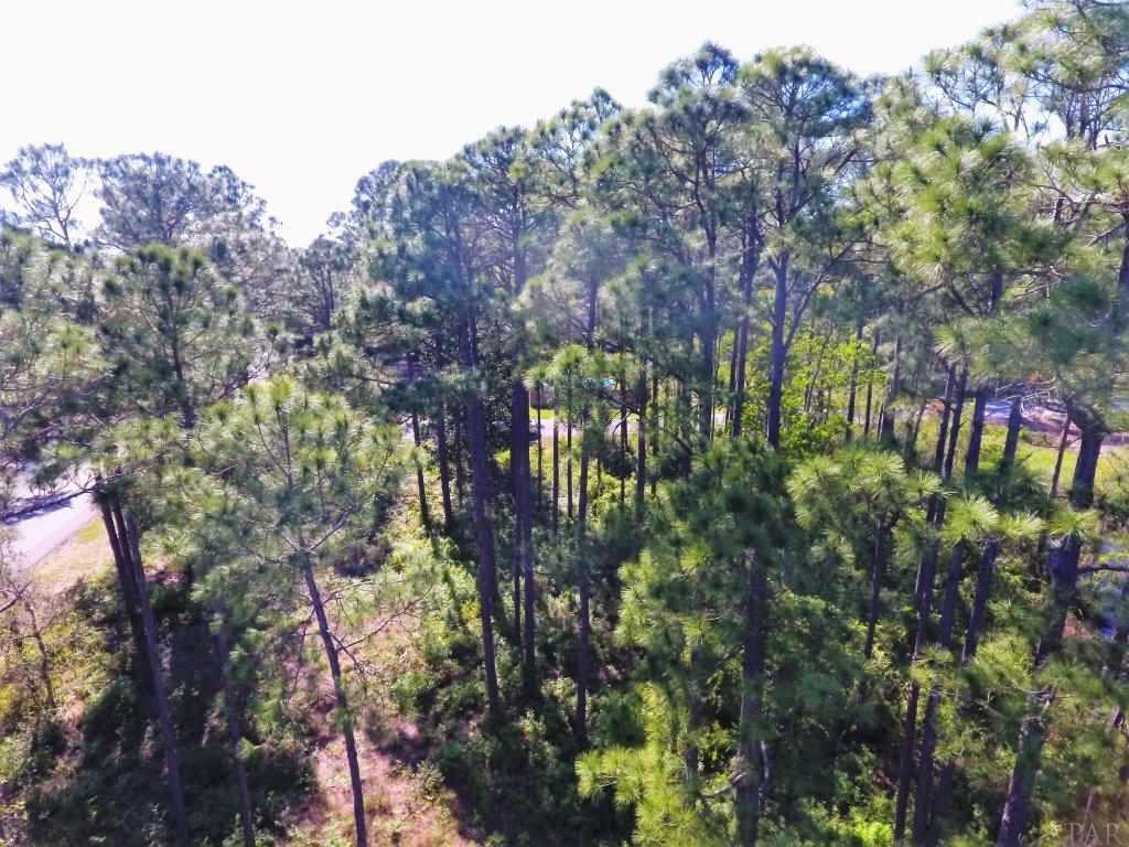 14600 Innerarity Point Road, Unit LOT #44 Pensacola, FL 32507 - Photo 10 of 15 Gallery Image 10