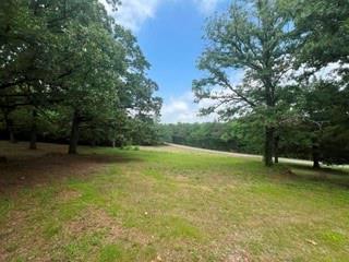 492 Richerson Road Denison, TX 75021 - Photo 26 of 29 a view of a yard with a tree