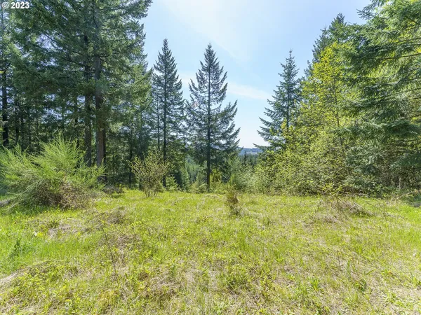 $325,000 | 25308 Northwest Mountain Drive, Banks, OR 97106