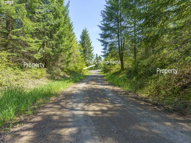 a green field with trees in the background