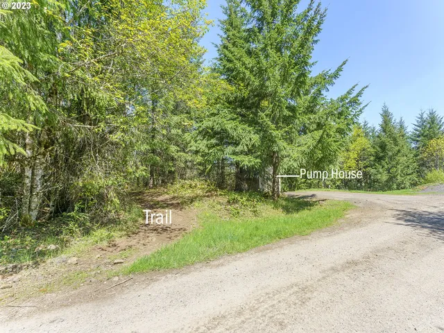 a view of a garden with plants