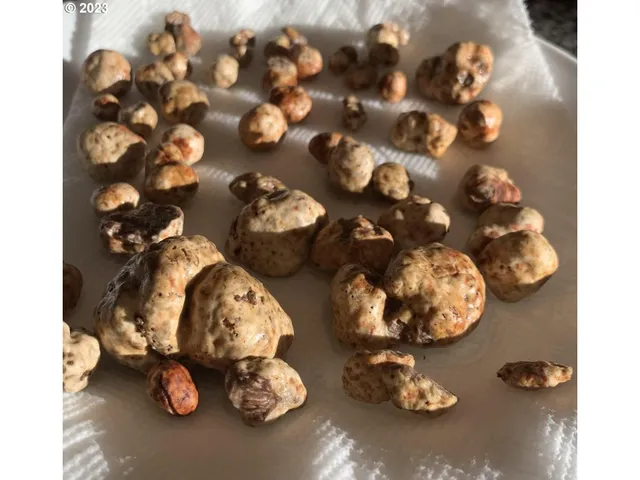 $325,000 | 25308 Northwest Mountain Drive, Banks, OR 97106