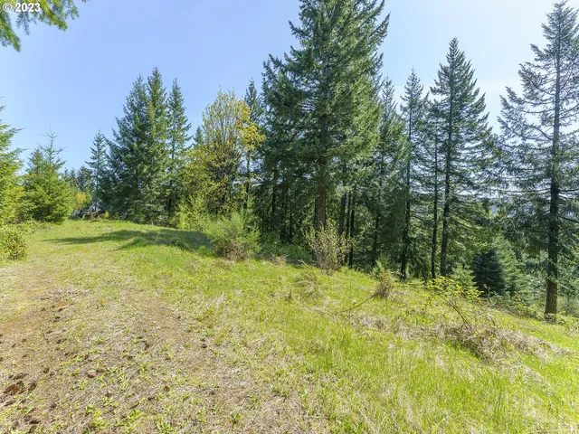a view of outdoor space and yard