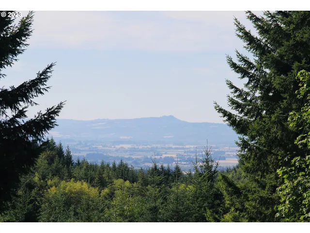 a view of a mountain in the distance in a field