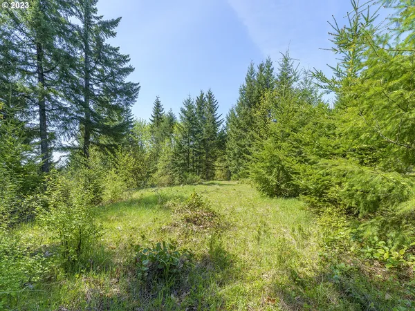 $325,000 | 25308 Northwest Mountain Drive, Banks, OR 97106