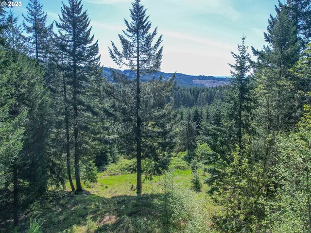 a view of outdoor space and green space