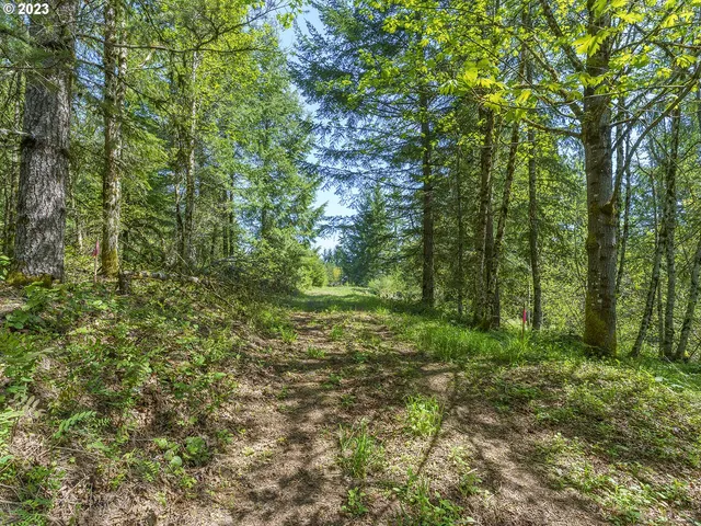 an aerial view of residential house with outdoor space and trees