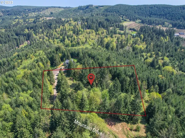 a view of a lush green hillside and a houses