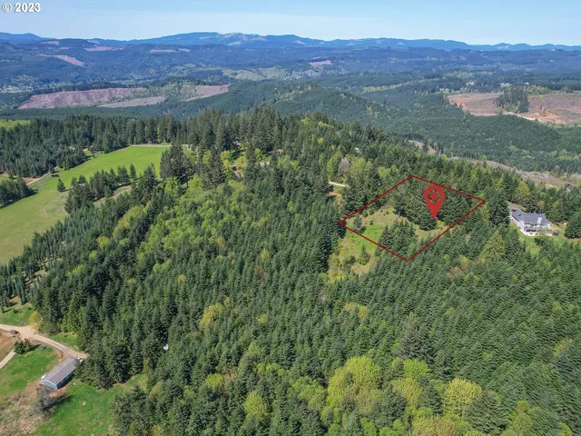 a view of backyard of house