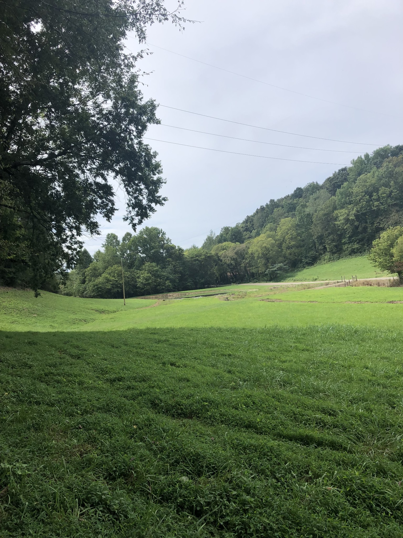 1235 Bunker Hill Road Pulaski, TN 38478 - Photo 1 of 8 Gallery Image 1