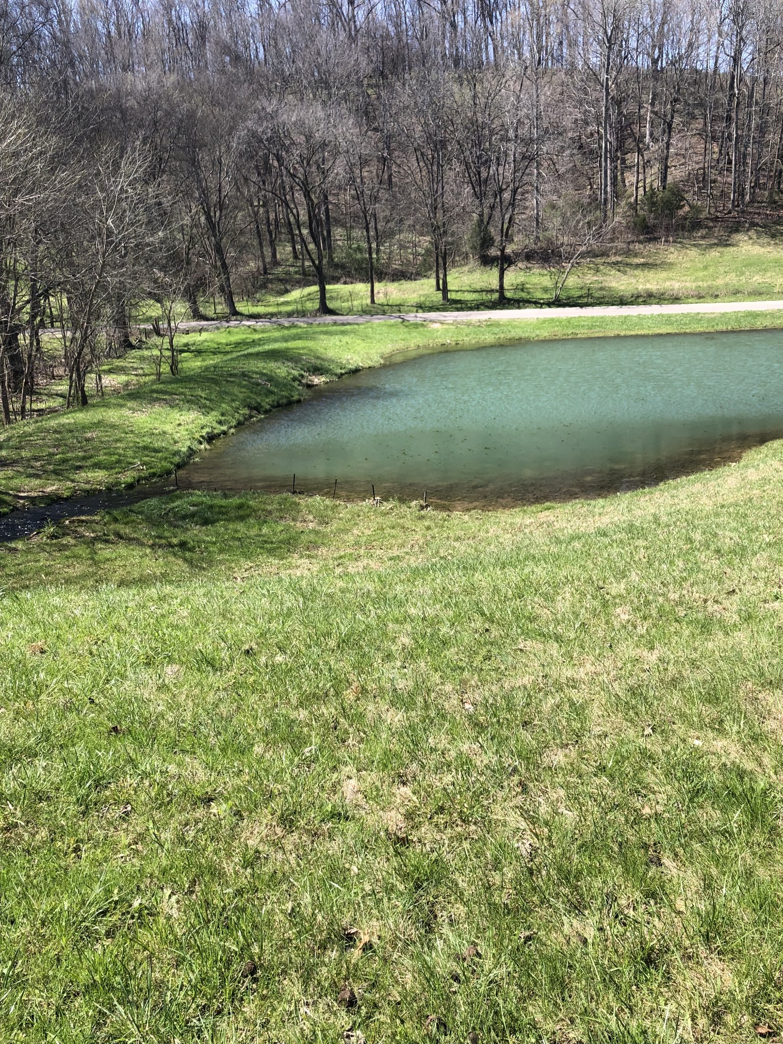 1235 Bunker Hill Road Pulaski, TN 38478 - Photo 2 of 8 Gallery Image 2