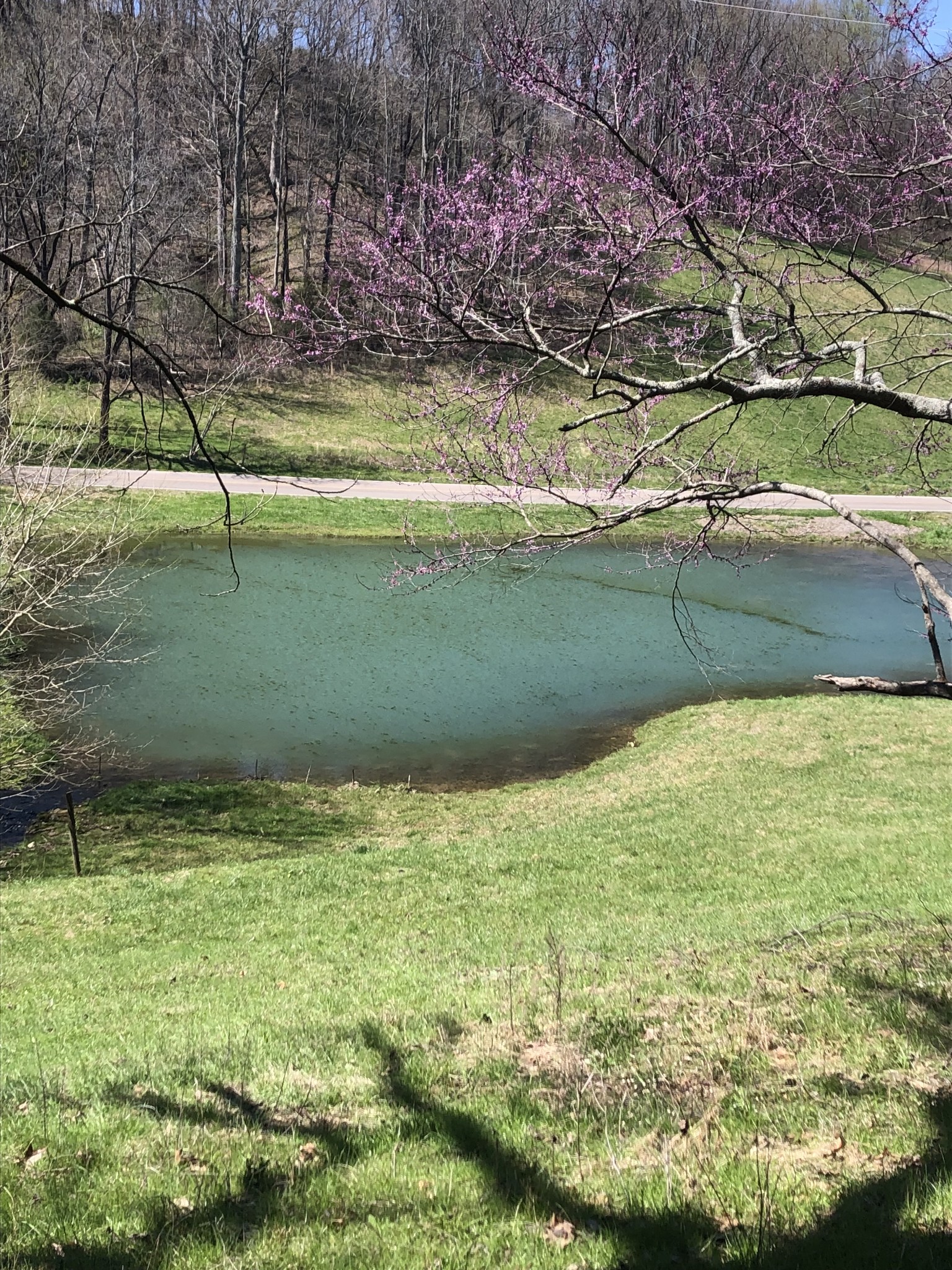 1235 Bunker Hill Road Pulaski, TN 38478 - Photo 3 of 8 Gallery Image 3