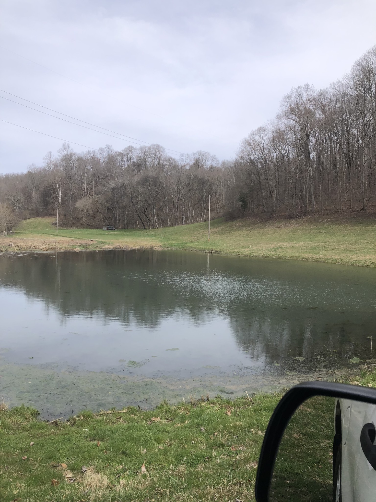 1235 Bunker Hill Road Pulaski, TN 38478 - Photo 6 of 8 Gallery Image 6