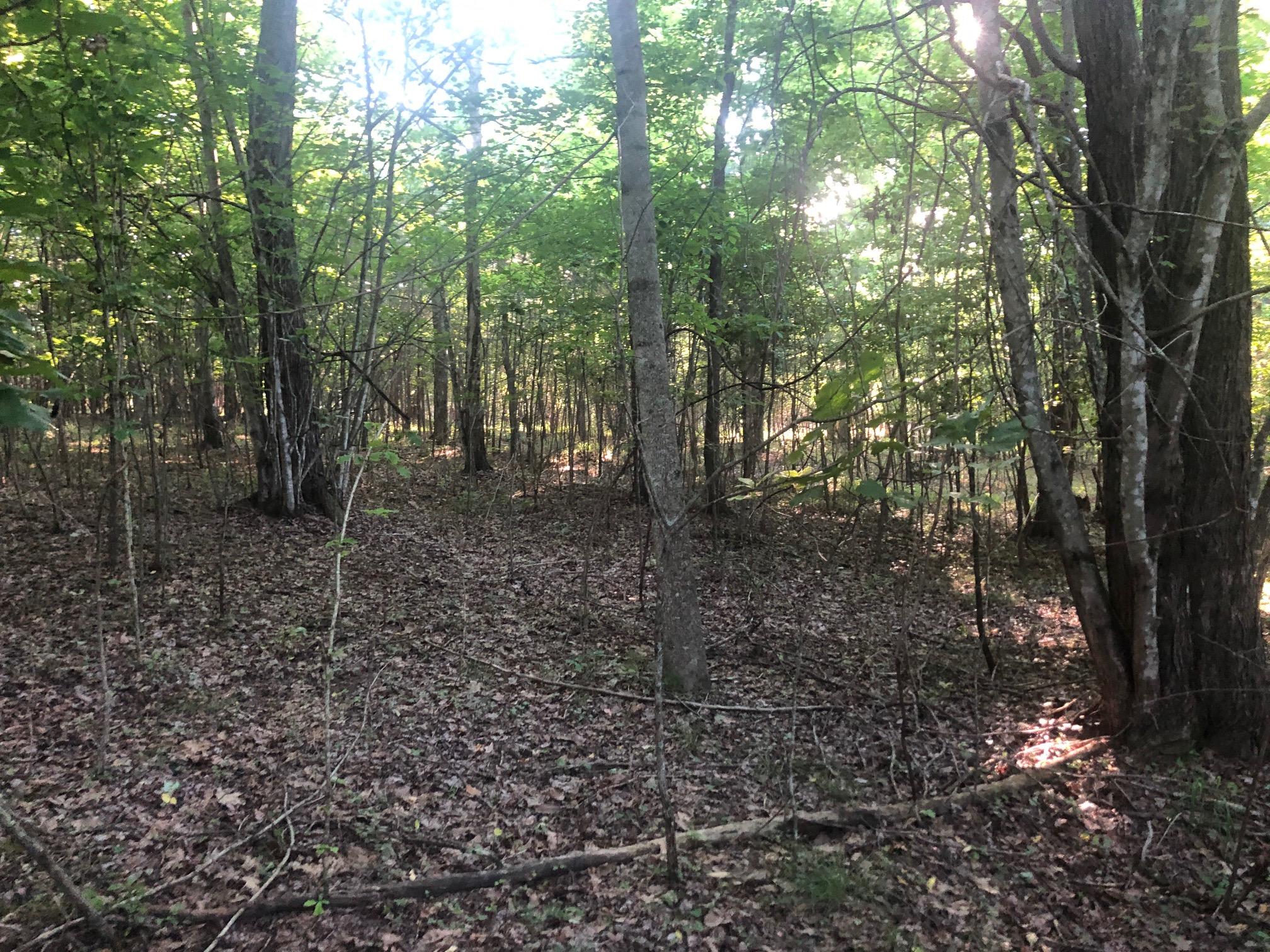 0 Bluff View Drive Dunlap, TN 37327 - Photo 14 of 24 IMG_6770