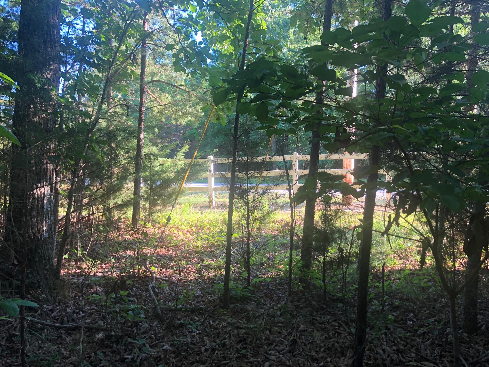 0 Bluff View Drive Dunlap, TN 37327 - Photo 23 of 24 IMG_6779
