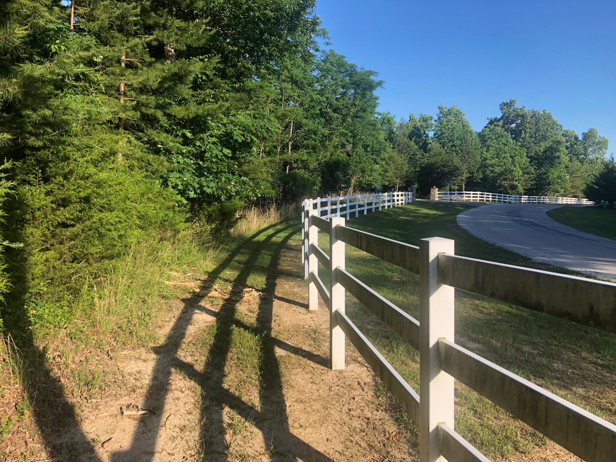 0 Bluff View Drive Dunlap, TN 37327 - Photo 8 of 24 IMG_6764