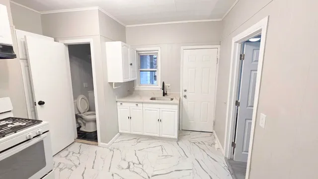 a kitchen with a sink cabinets and wooden floor