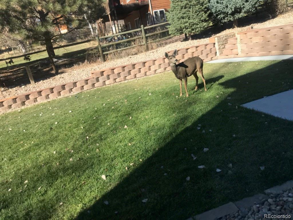 6359 Powell Road Parker, CO 80134 - Photo 38 of 38 a view of backyard with table and chairs