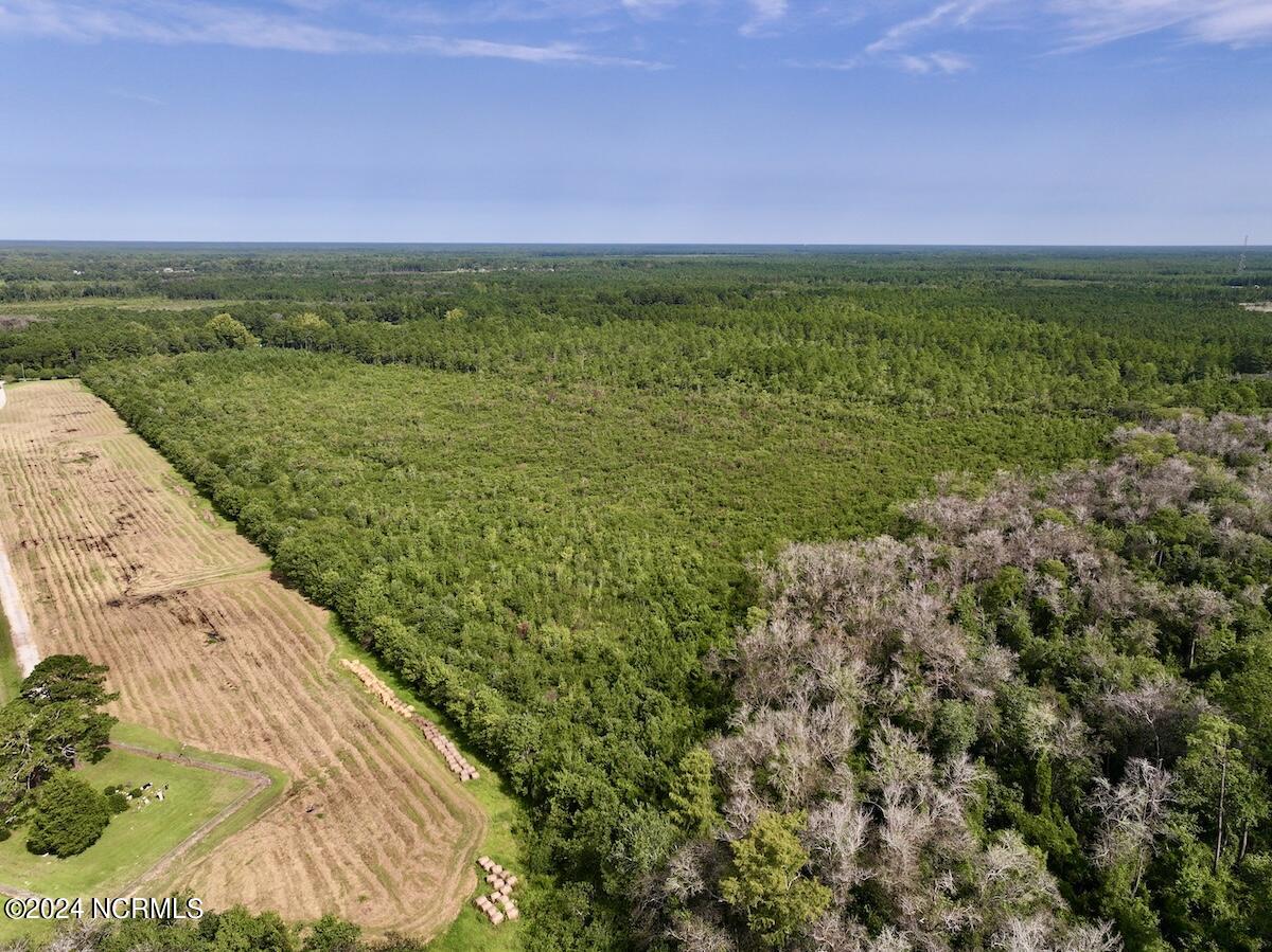 0 Davis Road Jacksonville, NC 28540 - Photo 6 of 35 5