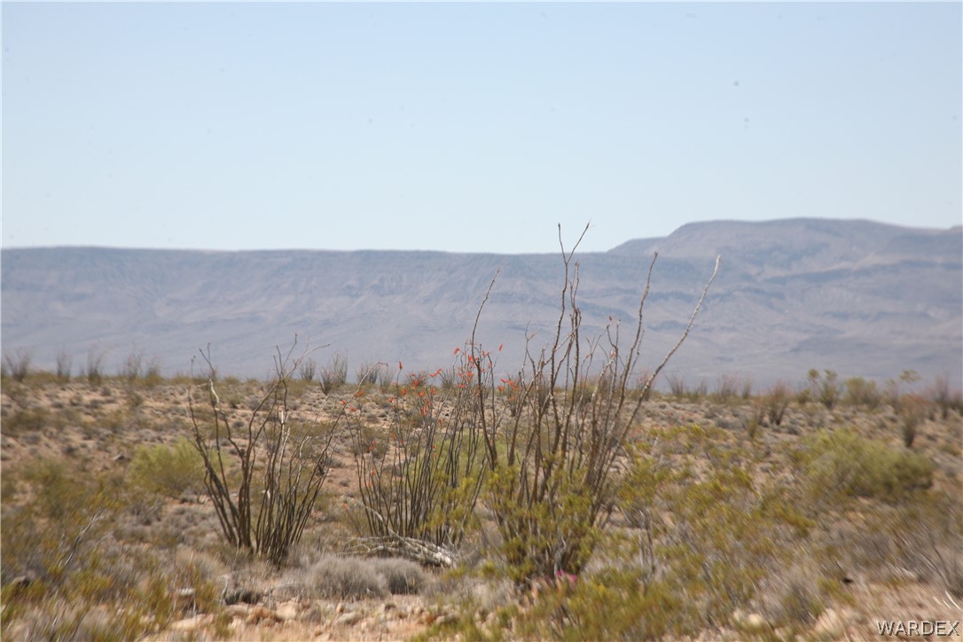 245-24-067a Lorton Road Yucca, AZ 86438 - Photo 21 of 42