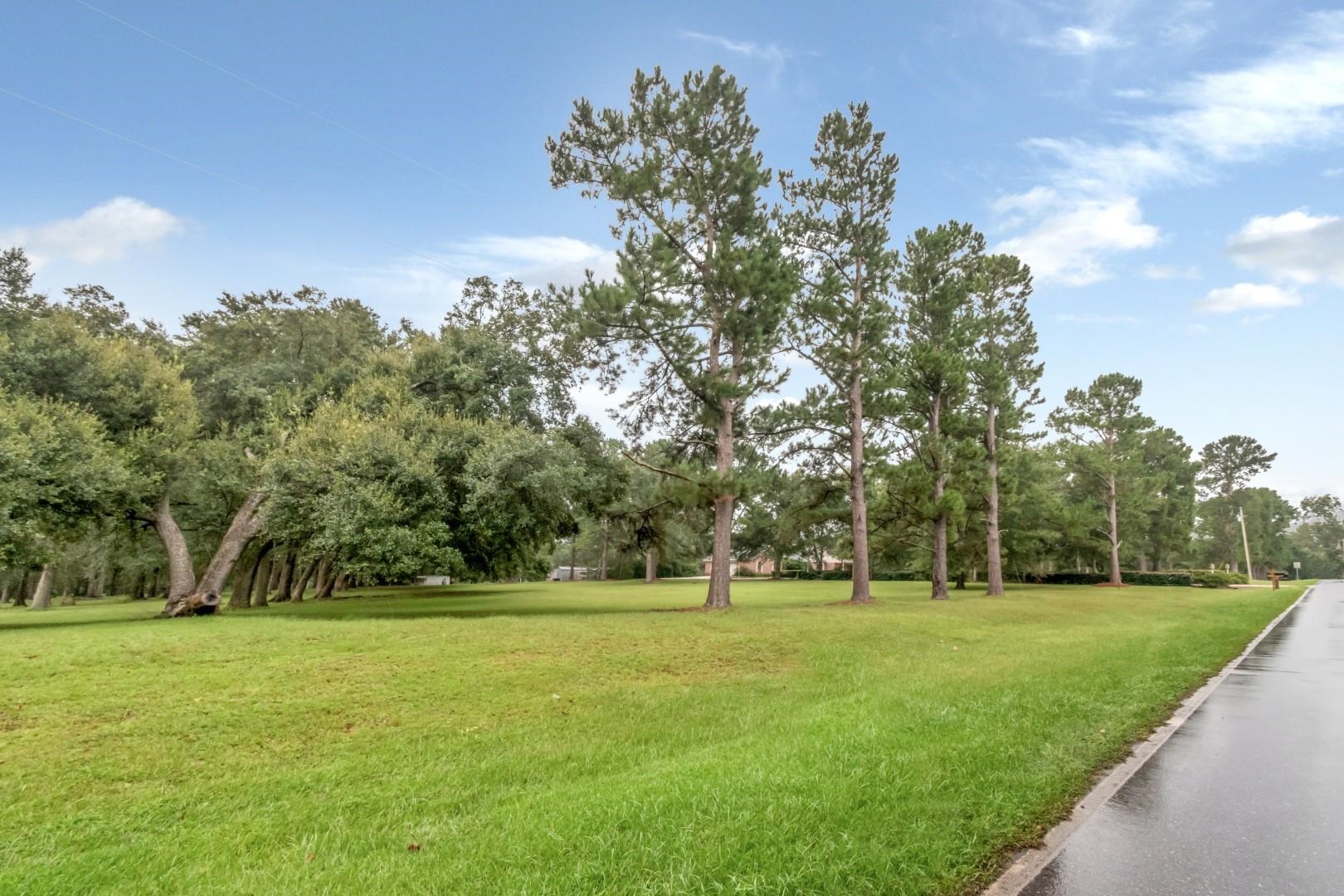 19108 Rada Road Silverhill, AL 36576 - Photo 10 of 11 Community