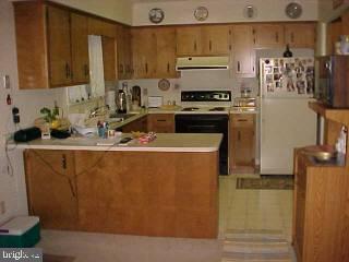 607 Twin Tree Road Ocean City, MD 21842 - Photo 3 of 4 Gallery Image 3