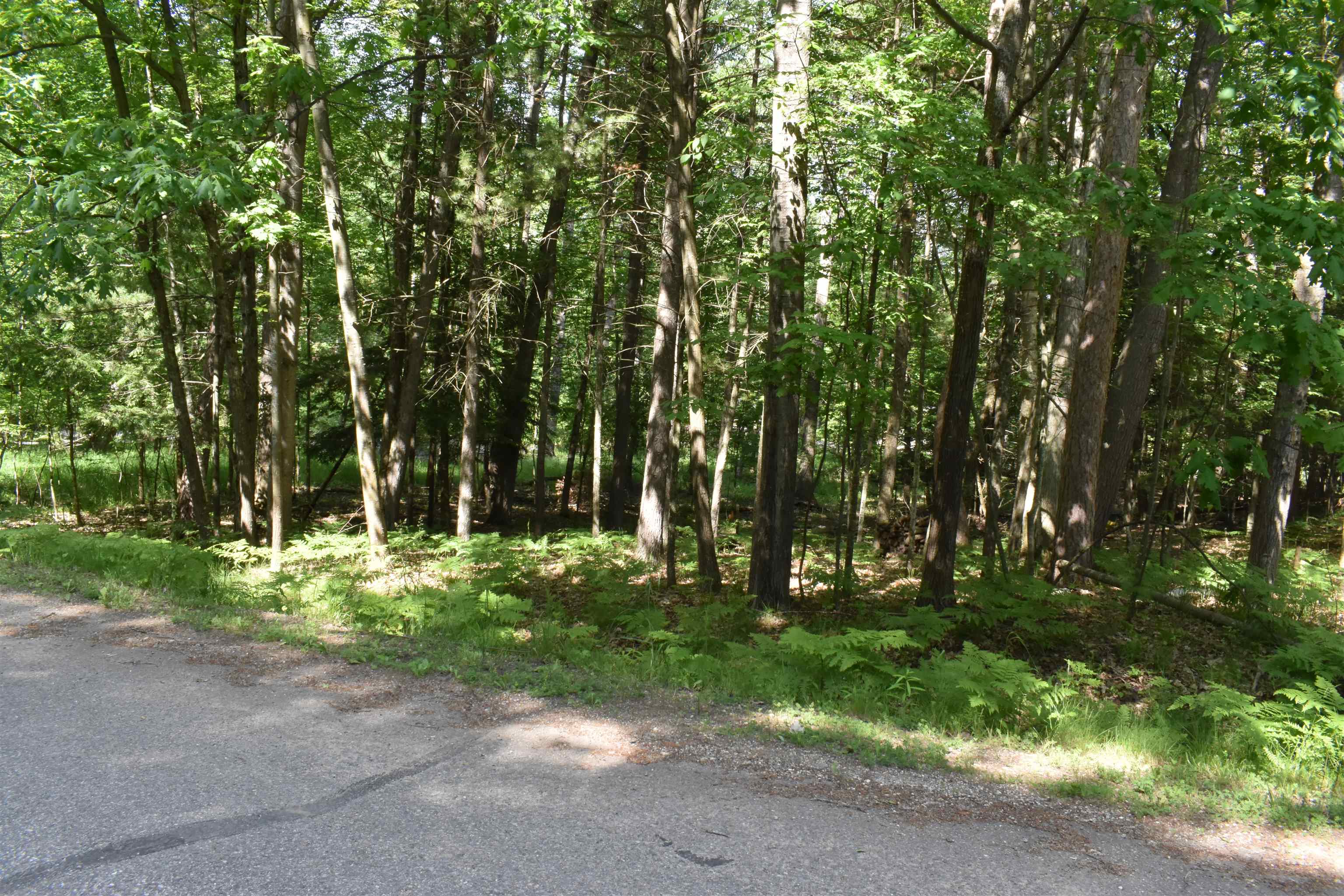 Lot 196 Princess Way Gladwin, MI 48624 - Photo 7 of 12