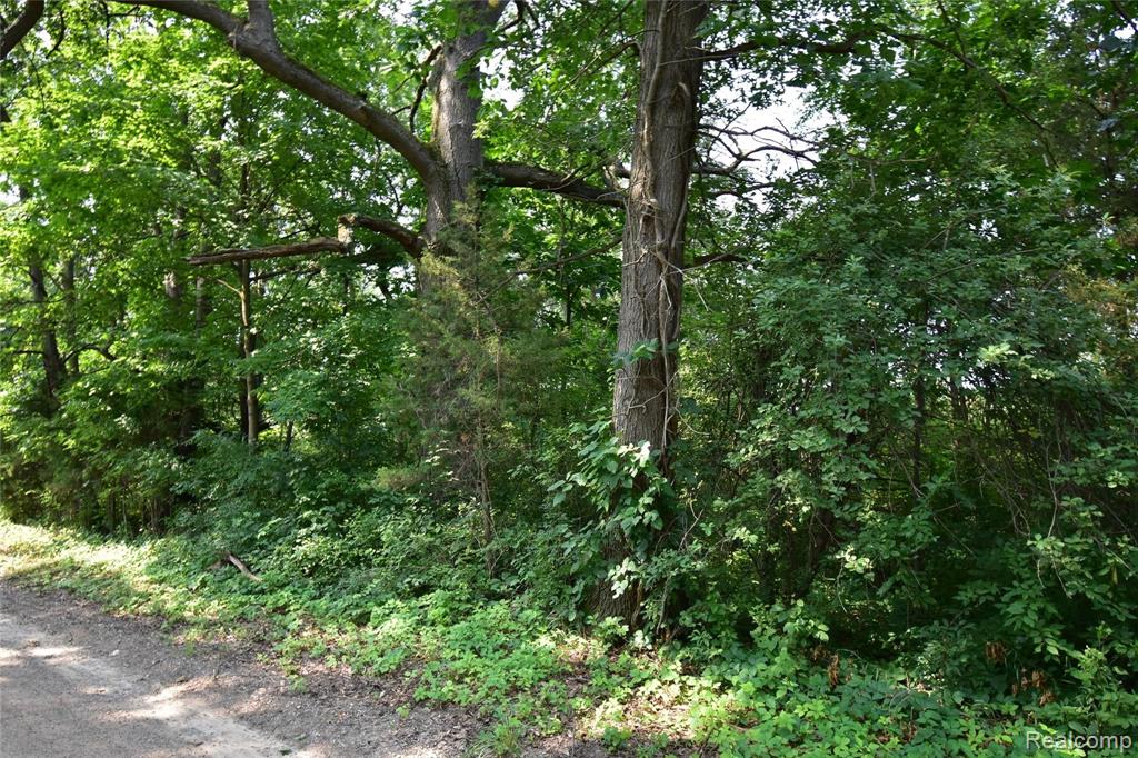 0 Howlett Road Gregory, MI 48137 - Photo 2 of 4