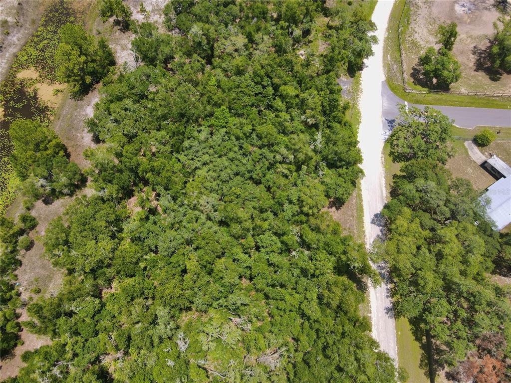 34237 Shaffer Drive Webster, FL 33597 - Photo 3 of 18