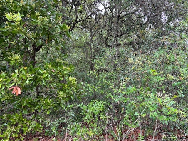 93 North Croft Avenue Inverness, FL 34453 - Photo 4 of 8