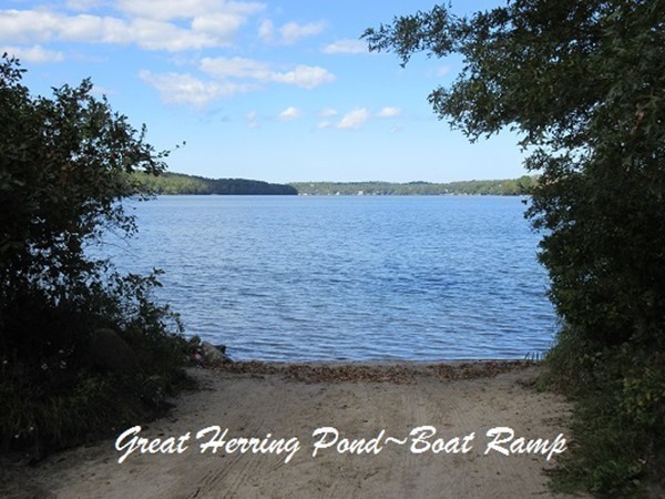 156 Herring Pond Road Bourne, MA 02532 - Photo 16 of 17 Gallery Image 16