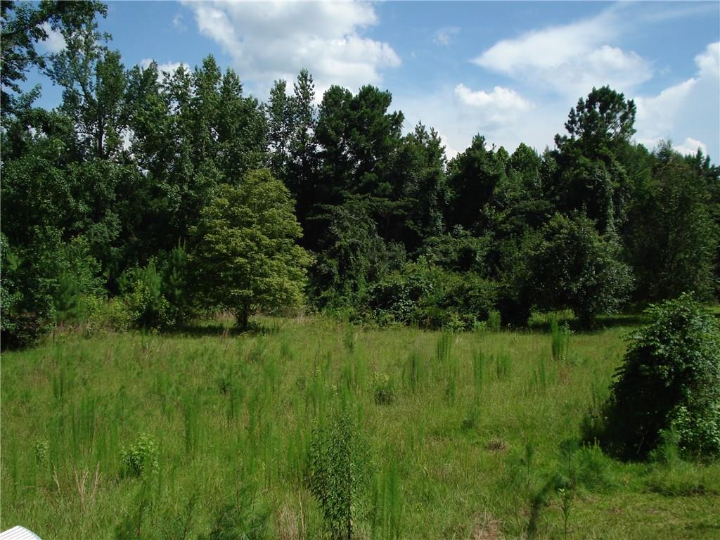 491 Fire Tower Road Colfax, LA 71417 - Photo 4 of 19 Gallery Image 4