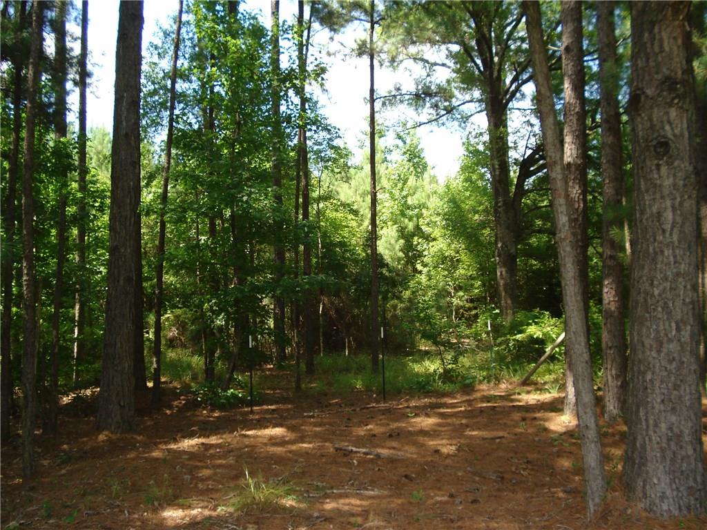 491 Fire Tower Road Colfax, LA 71417 - Photo 5 of 19 Gallery Image 5