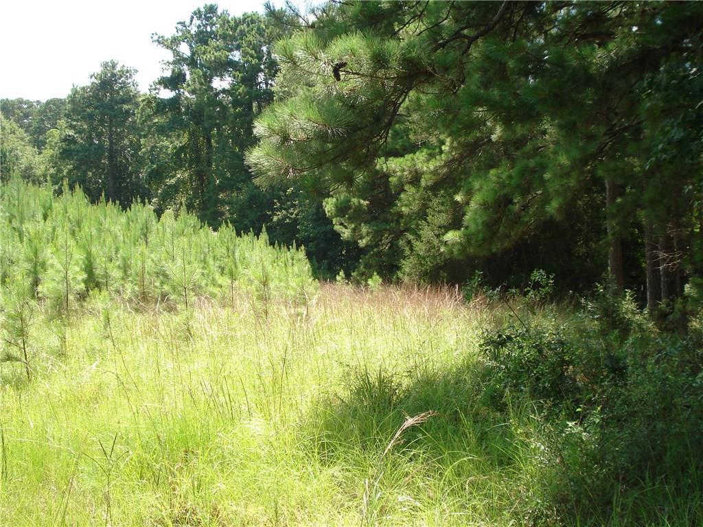 491 Fire Tower Road Colfax, LA 71417 - Photo 8 of 19 Gallery Image 8