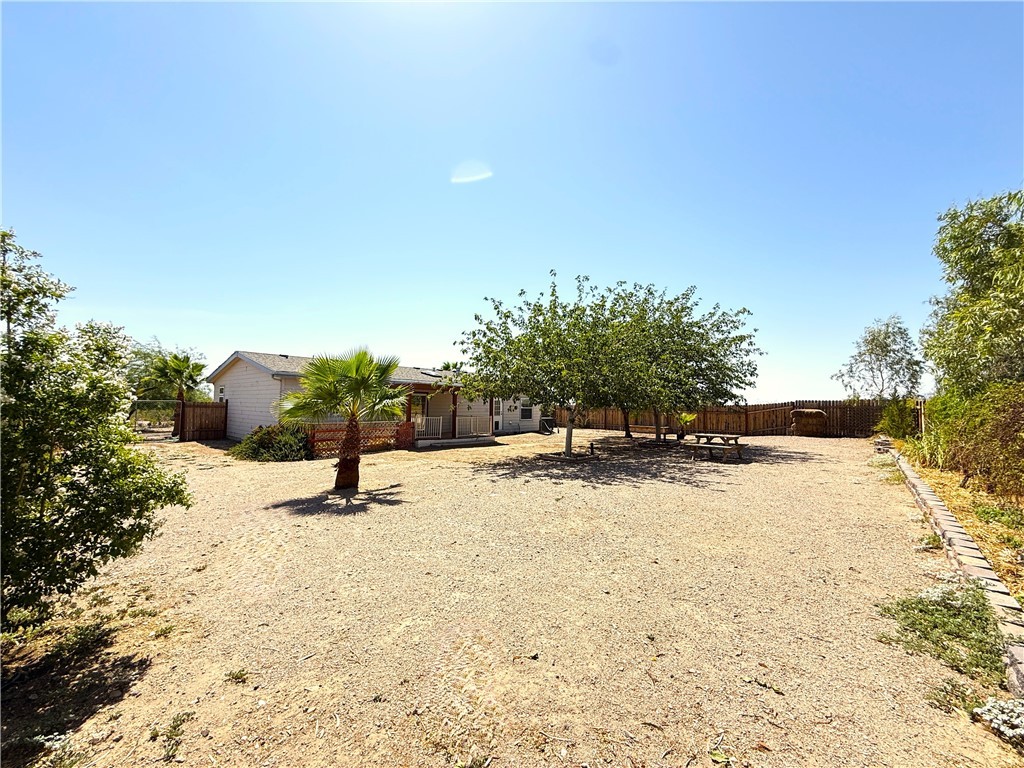 645 South Elfrida Road Golden Valley, AZ 86413 - Photo 43 of 44 Yard