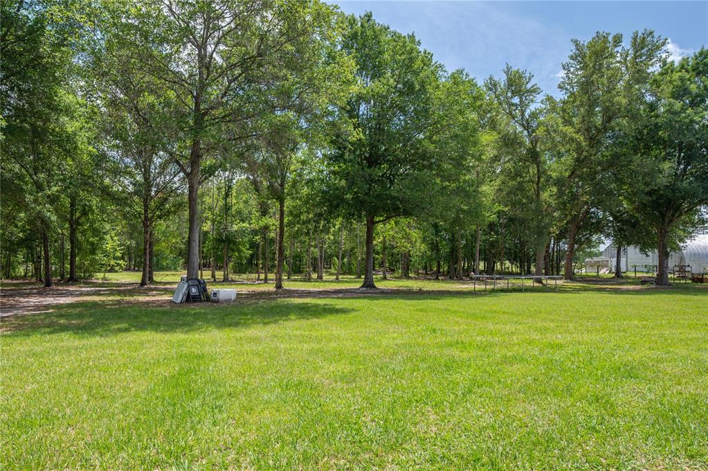 15079 Brahma Road Polk City, FL 33868 - Photo 14 of 40 a view of a park with trees in the background