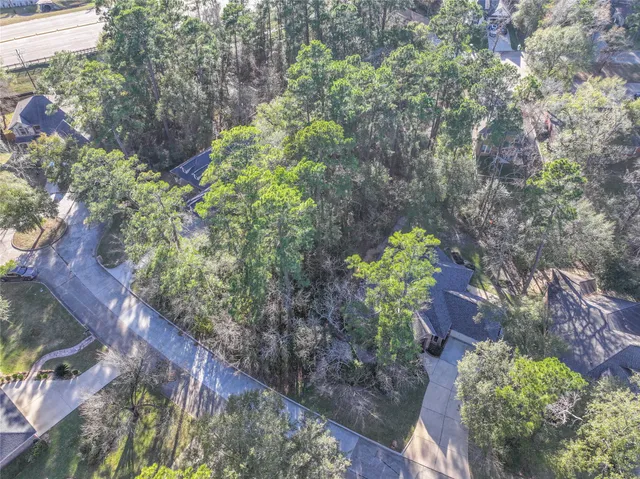 a plant that is in a garden