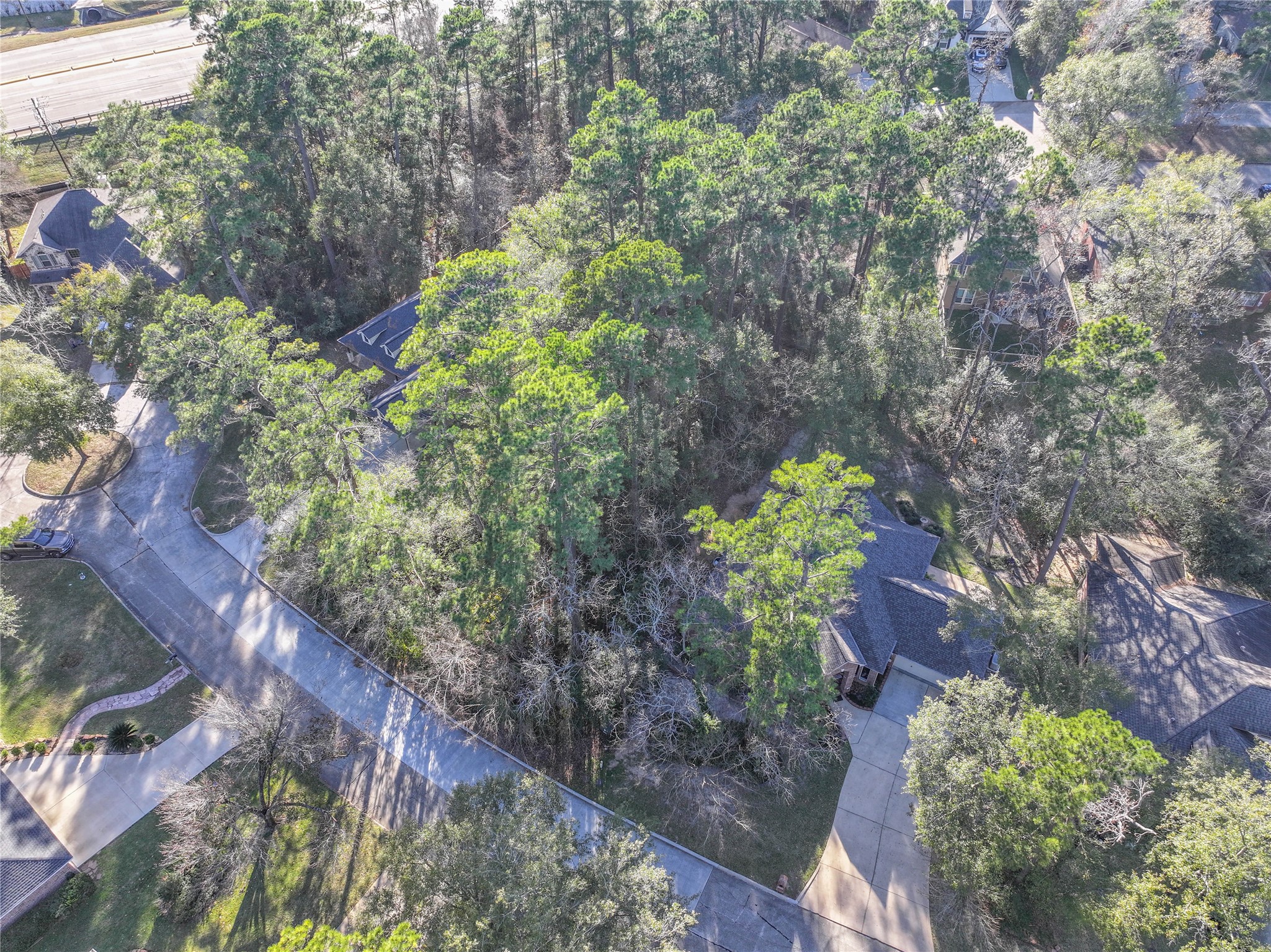 a plant that is in a garden