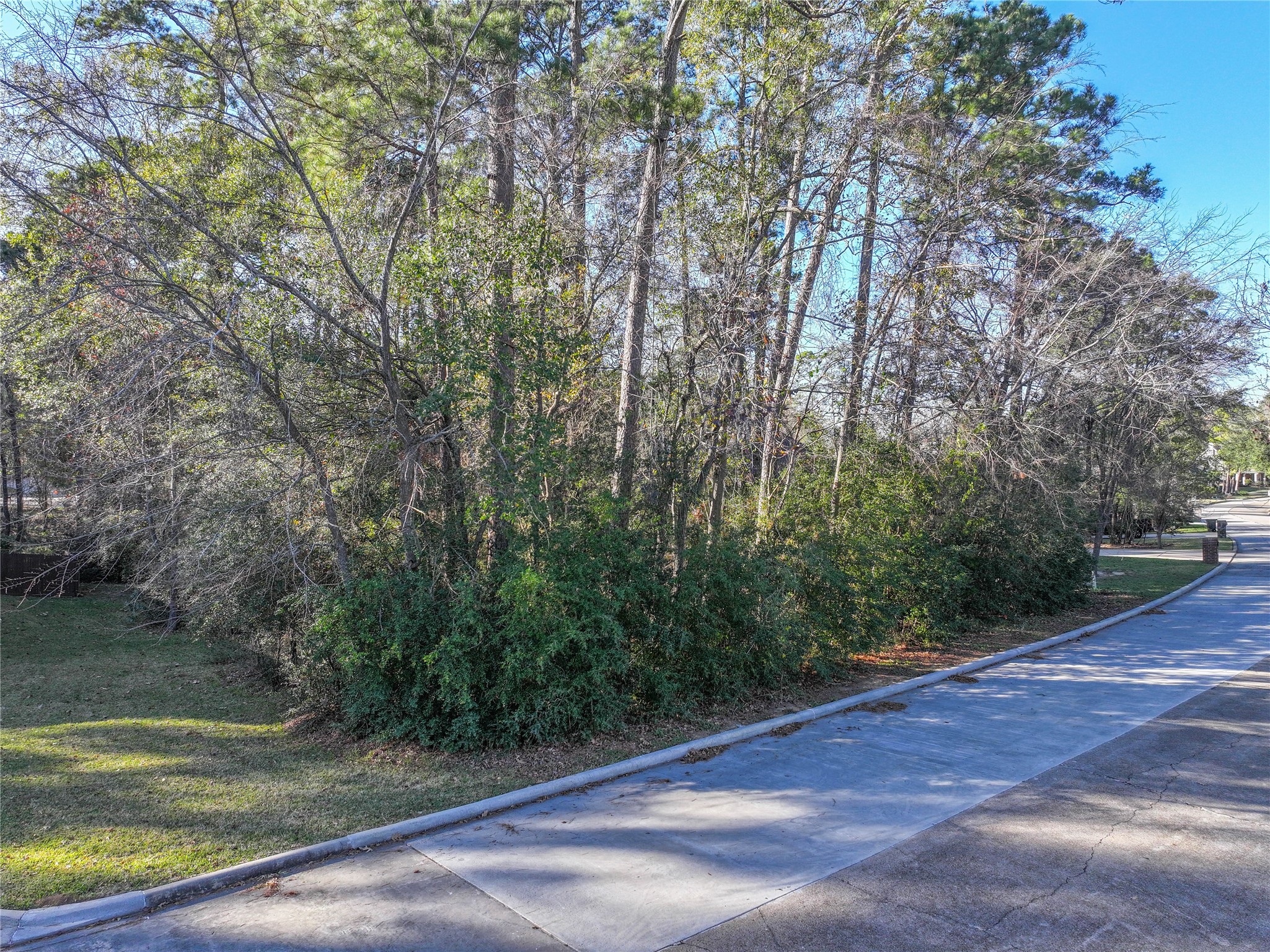 80 Summers Wind Street Conroe, TX 77356 - Photo 13 of 13 a view of a yard with a trees