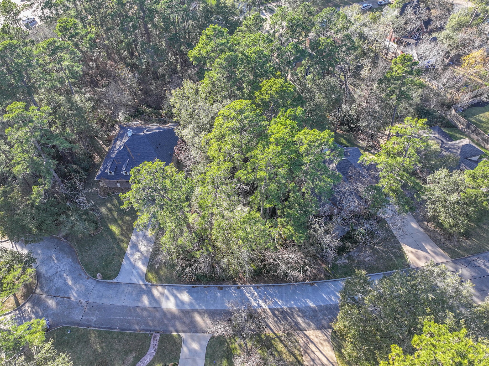80 Summers Wind Street Conroe, TX 77356 - Photo 3 of 13 a view of a yard