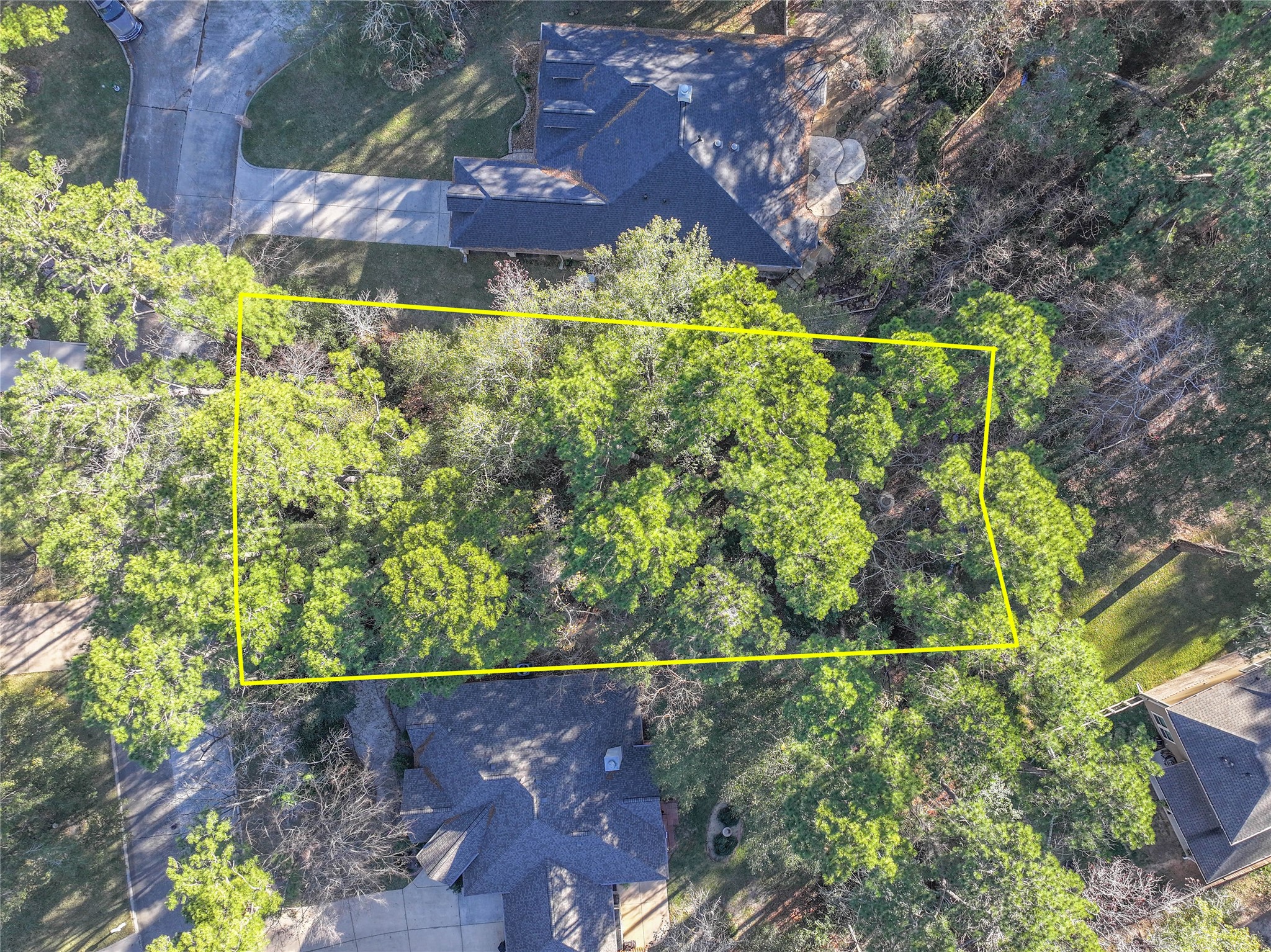 80 Summers Wind Street Conroe, TX 77356 - Photo 5 of 13 a view of a yard