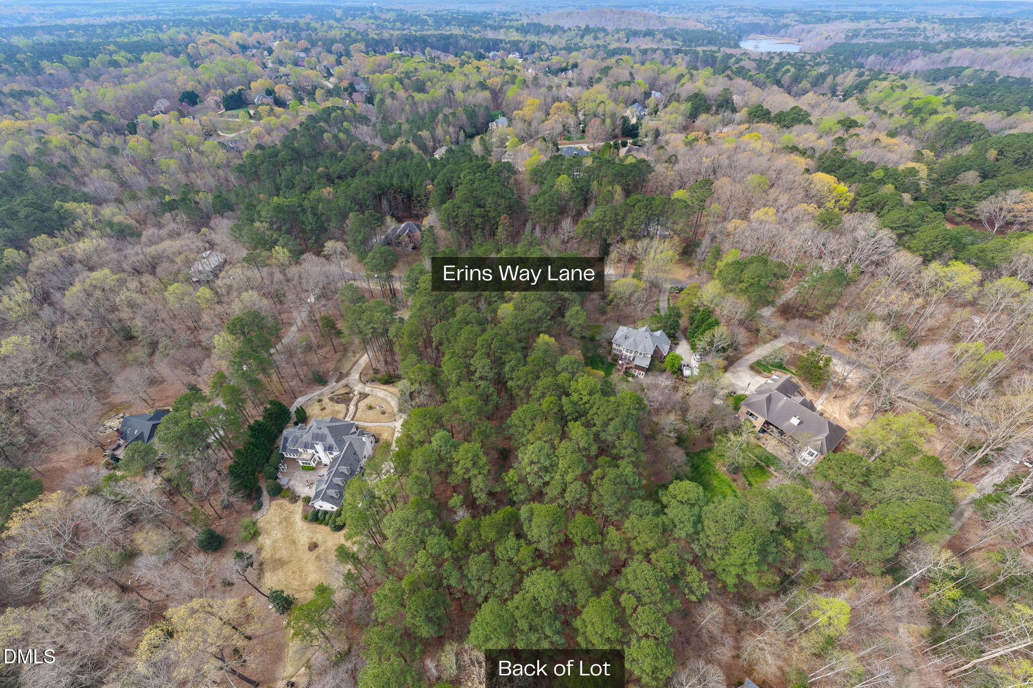 1121 Erins Way Lane Raleigh, NC 27614 - Photo 7 of 20 a view of a forest with a tree