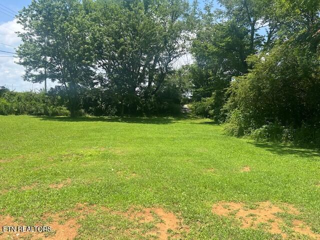 East Hunt Road Alcoa, TN 37701 - Photo 3 of 7 East Hunt Road 4