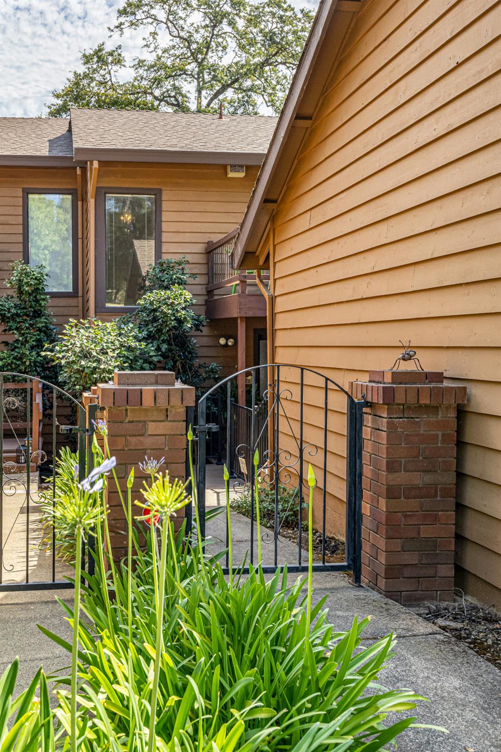 3117 Cambridge Road Cameron Park, CA 95682 - Photo 3 of 46