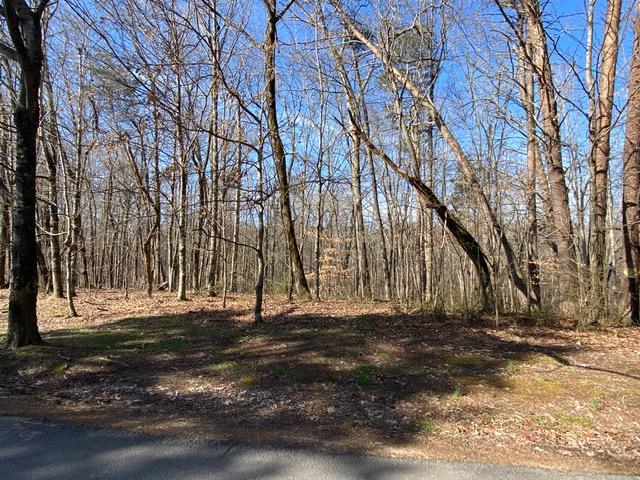 3327 Hackworth Road Knoxville, TN 37931 - Photo 1 of 3 IMG_6856