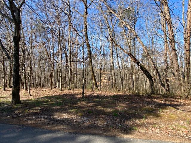 3327 Hackworth Road Knoxville, TN 37931 - Photo 2 of 3 IMG_6857