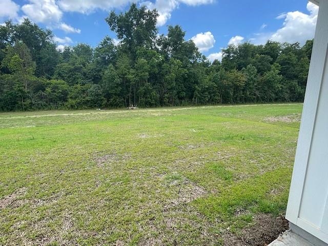 673 Calibre Street Fairhope, AL 36532 - Photo 10 of 12 backyard