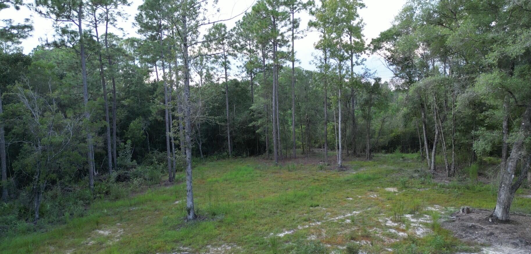 Parcel A Antioch Road Crestview, FL 32536 - Photo 6 of 6 Parcel A 2